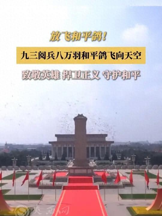 开云体育官方网站-8万羽和平鸽都是“借来”的关在特殊笼子放飞